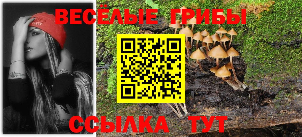 Шелехов  Псилоцибиновые грибы ЛСД  Галлюциногенные грибы GOLDEN TEACHER  Вход с VPN 